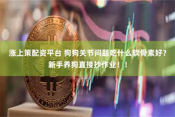 涨上策配资平台 狗狗关节问题吃什么软骨素好？新手养狗直接抄作业！！