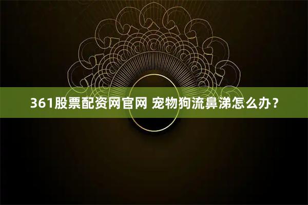 361股票配资网官网 宠物狗流鼻涕怎么办？
